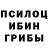 Псилоцибиновые грибы ЛСД Osvaldo CB