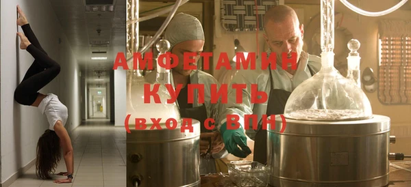 прущие грибы Вяземский