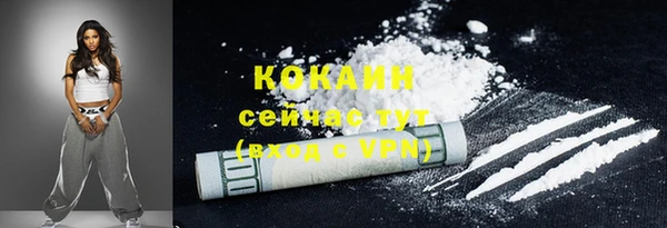 прущие грибы Вяземский