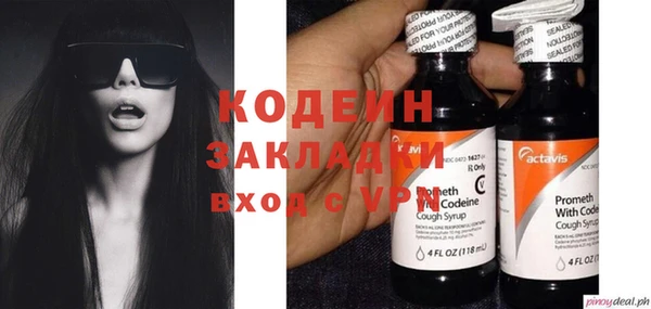 прущие грибы Вяземский