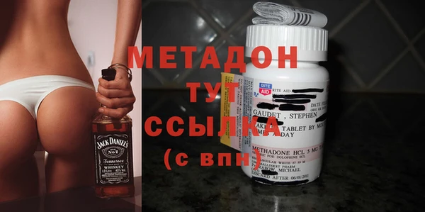 прущие грибы Вяземский