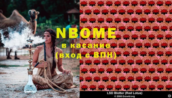 прущие грибы Вяземский