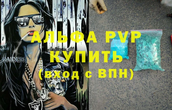 прущие грибы Вяземский