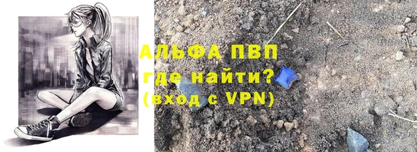 прущие грибы Вяземский