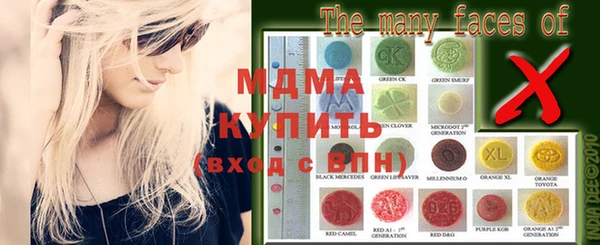 прущие грибы Вяземский