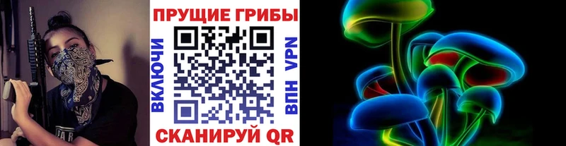 Галлюциногенные грибы Psilocybine cubensis  Элиста 