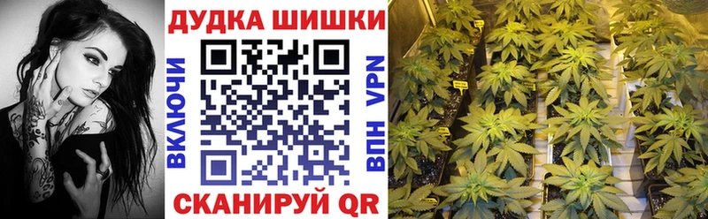 Бошки Шишки LSD WEED  сколько стоит  Элиста 